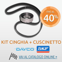 Immagine riferita a Tagliando: Kit cinghia + tendicinghia